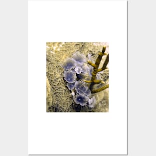 Underwater Bouquet Posters and Art